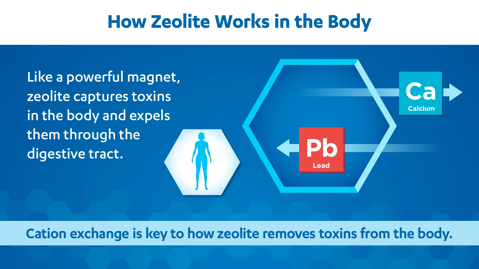 Zeolite Detox Press Kit, page 10 of 26